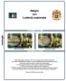 2E-Belgio-COIN-CARD-2025-1